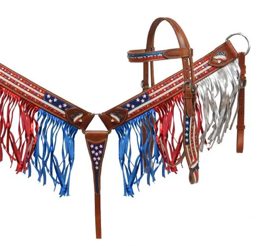 American Flag Rhinestone Fringe Headstall Set