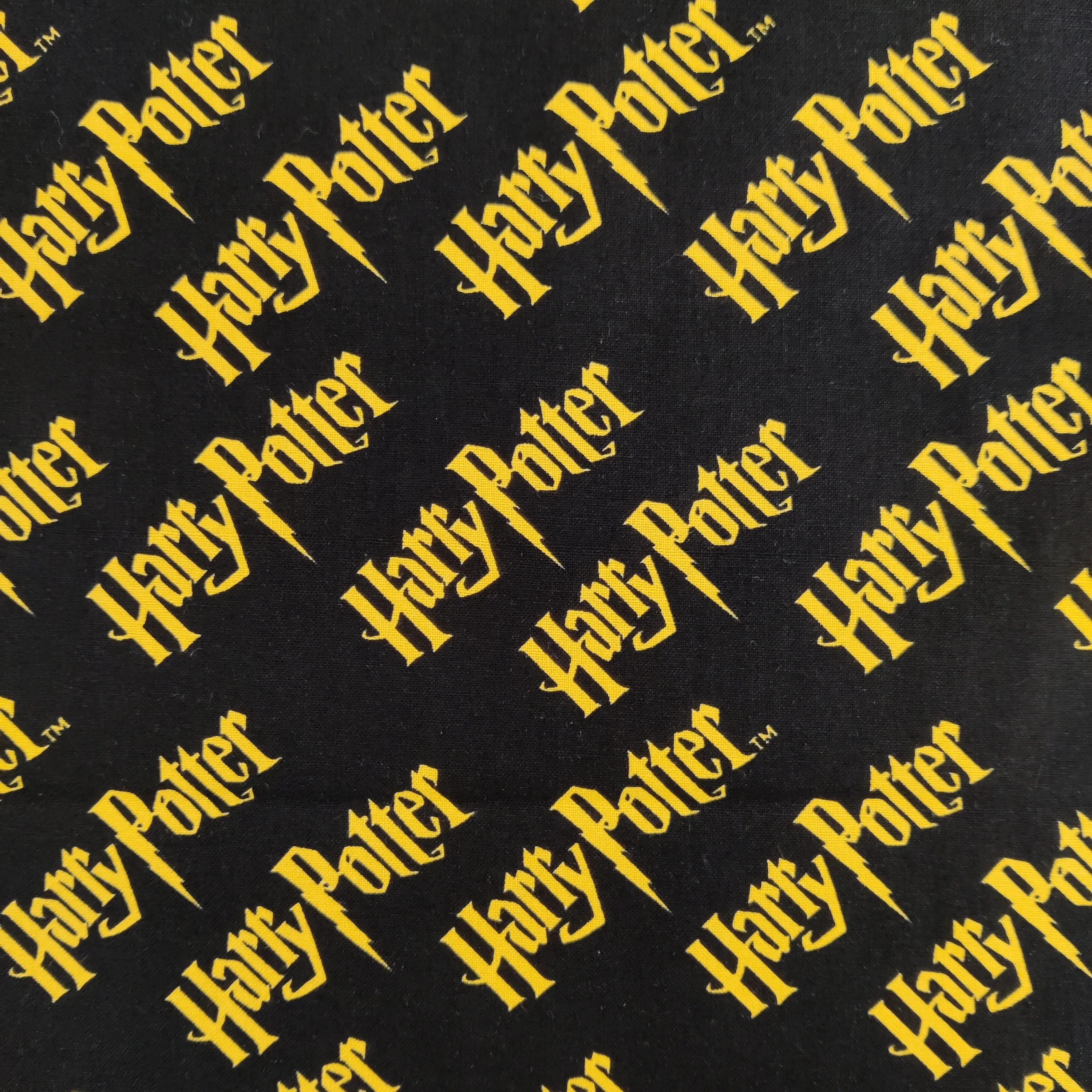 FS635_15 Harry Potter Logo