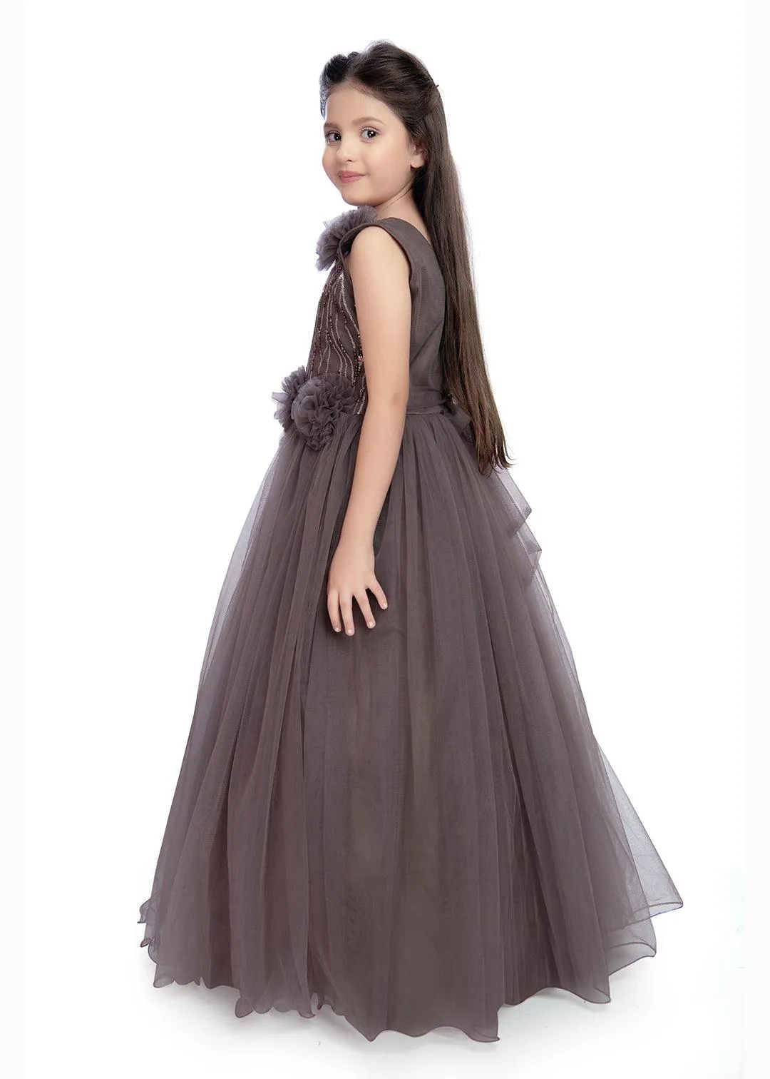 Grapes Coloured Net Fabric Party Wear Maxi Dress Gown For Girls