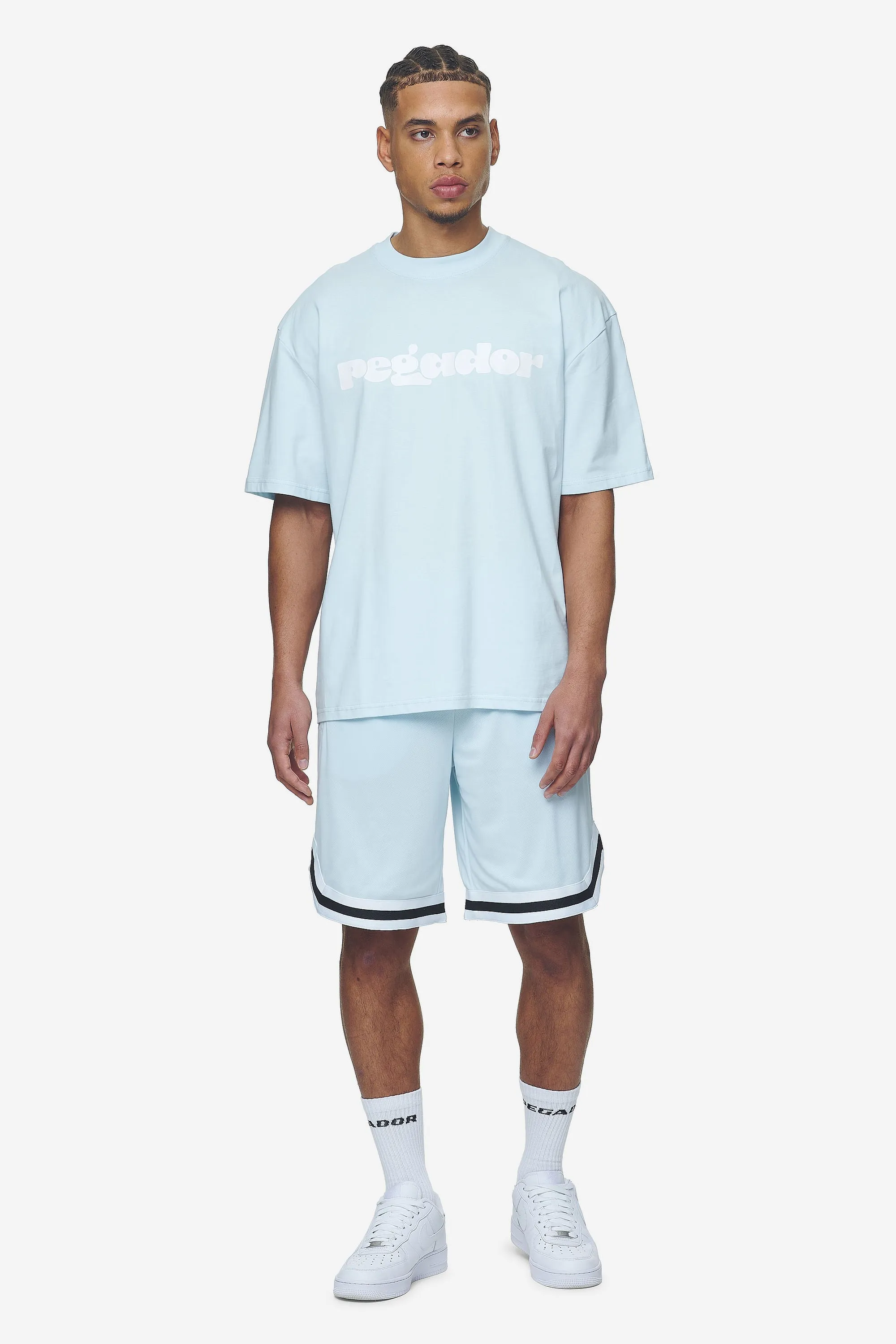 Lansing Basketball Shorts Baby Blue